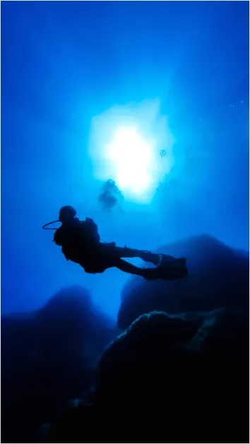 Detail Scuba Diver Underwater Silhouette Photo Number 8