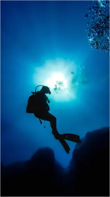 Detail Scuba Diver Underwater Silhouette Photo Number 9