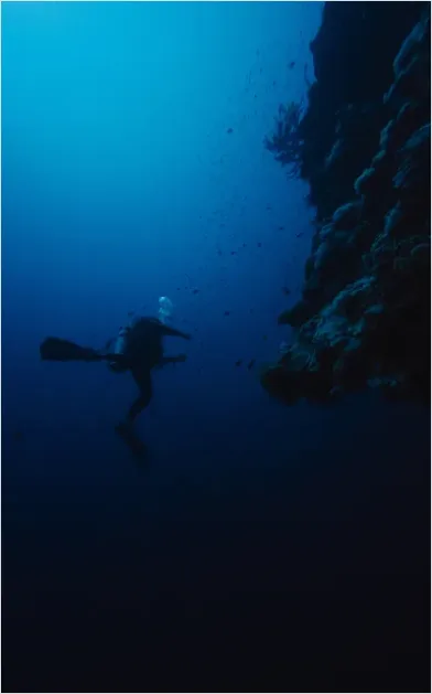 Detail Scuba Diver Underwater Silhouette Photo Number 10