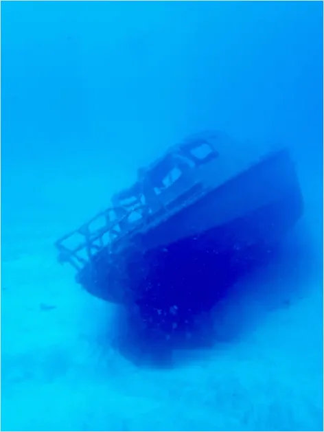 Detail Shipwreck Interior Underwater Photo Number 11