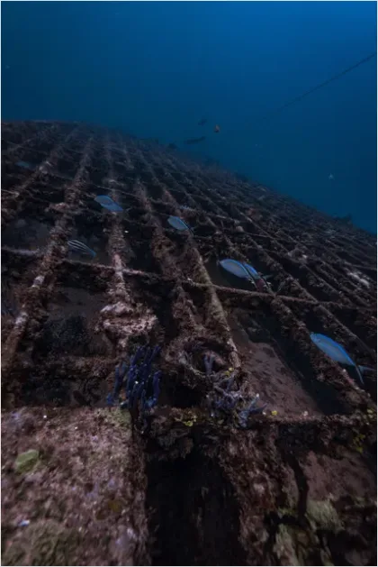 Detail Shipwreck Interior Underwater Photo Number 13