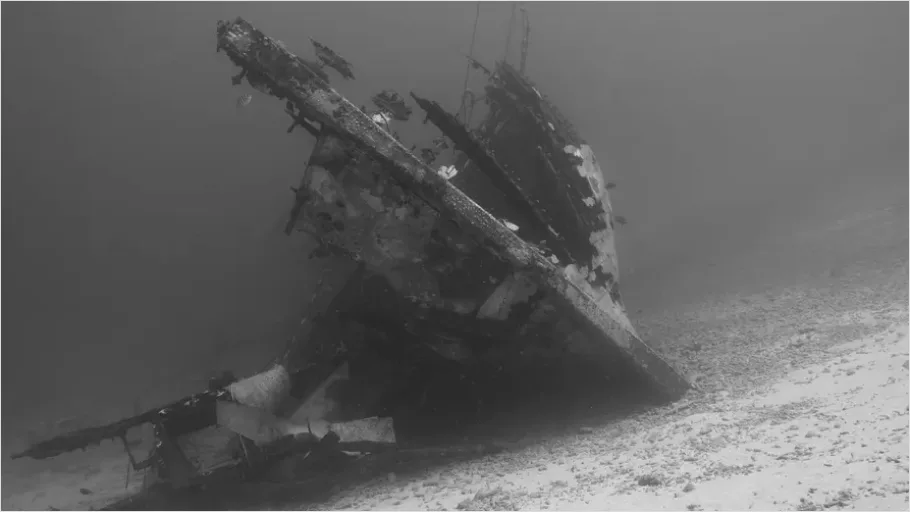 Detail Shipwreck Interior Underwater Photo Number 15