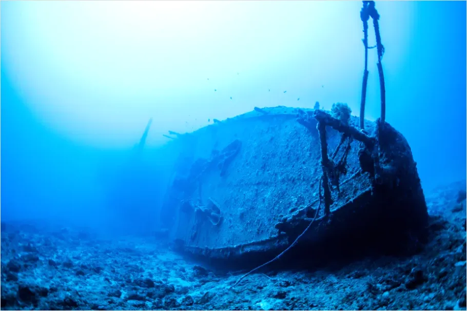 Detail Shipwreck Interior Underwater Photo Number 16