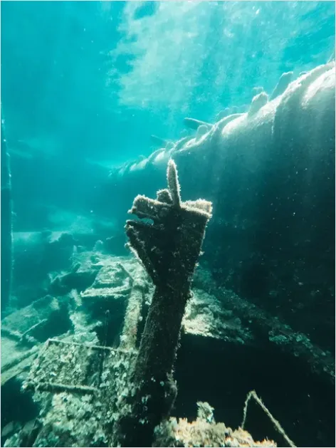Detail Shipwreck Interior Underwater Photo Number 6