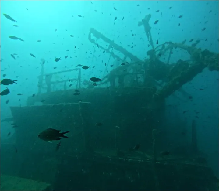 Detail Shipwreck Interior Underwater Photo Number 9