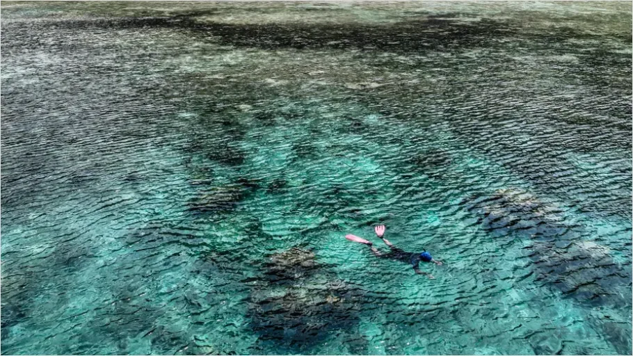 Detail Snorkeling Above Coral Reef Photo Number 11
