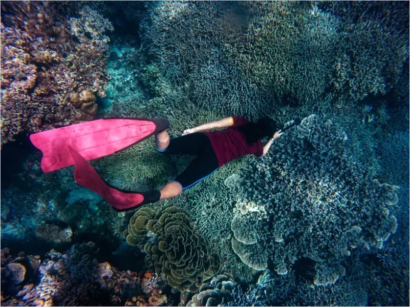 Detail Snorkeling Above Coral Reef Photo Number 3