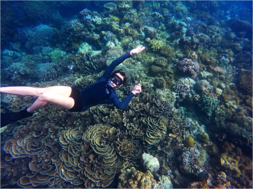 Detail Snorkeling Above Coral Reef Photo Number 5
