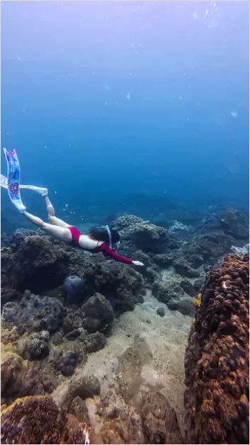 Detail Snorkeling Above Coral Reef Photo Number 10