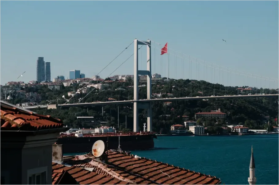 Detail Suspension Bridge City Skyline Photo Number 2