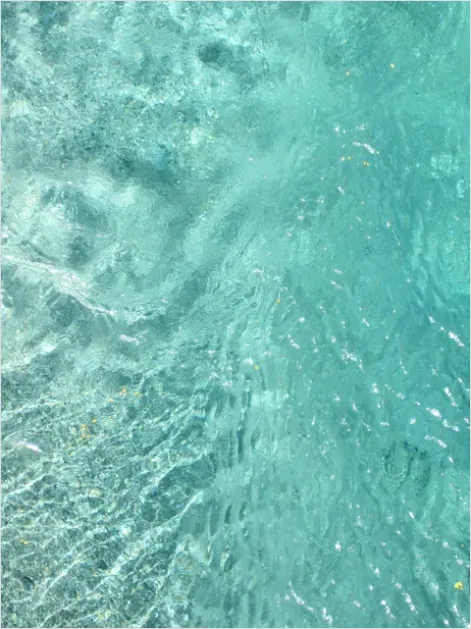 Detail Underwater Background Texture Photo Number 3