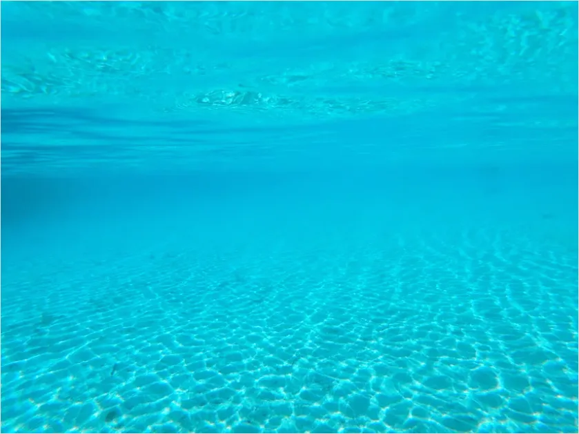 Detail Underwater Background Texture Photo Number 4
