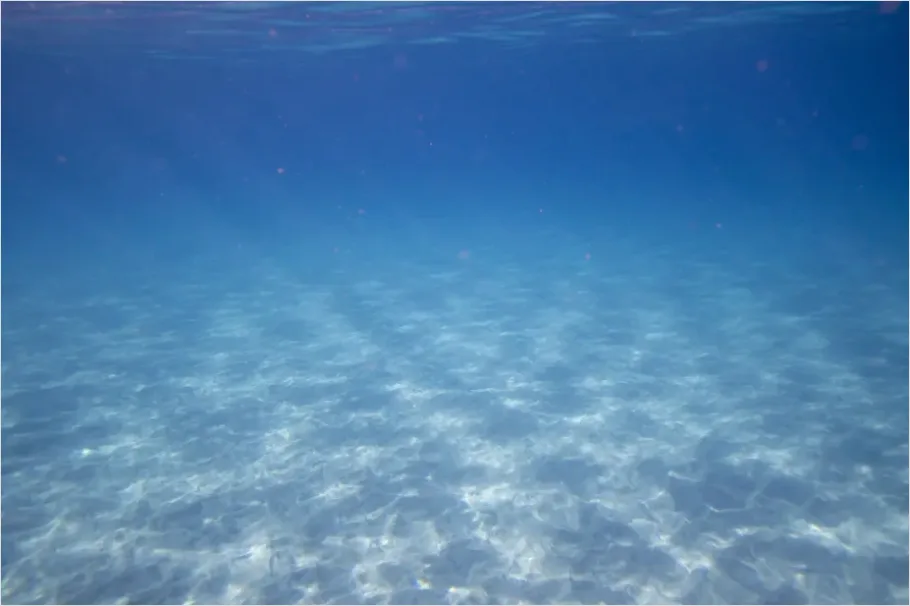 Detail Underwater Background Texture Photo Number 8