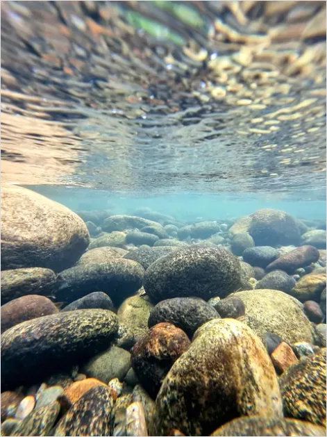 Underwater Freshwater River Photo 453f