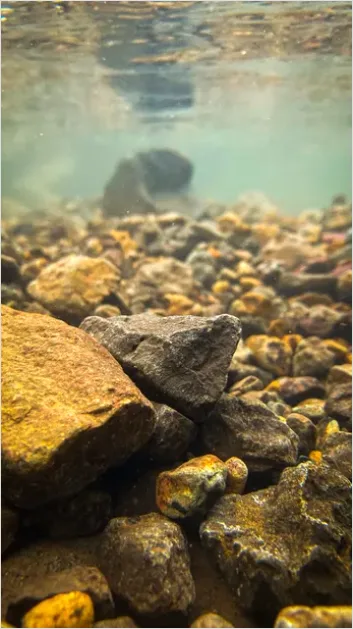 Detail Underwater Freshwater River Photo Number 2