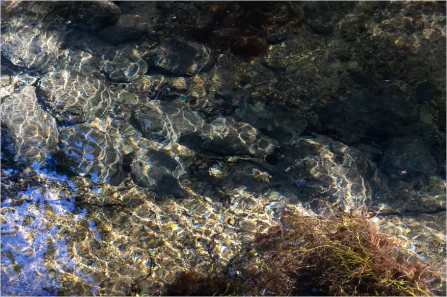 Detail Underwater Freshwater River Photo Number 11