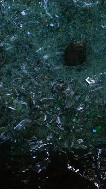 Detail Underwater Freshwater River Photo Number 13