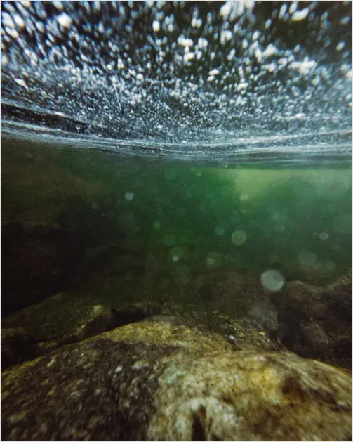 Detail Underwater Freshwater River Photo Number 14