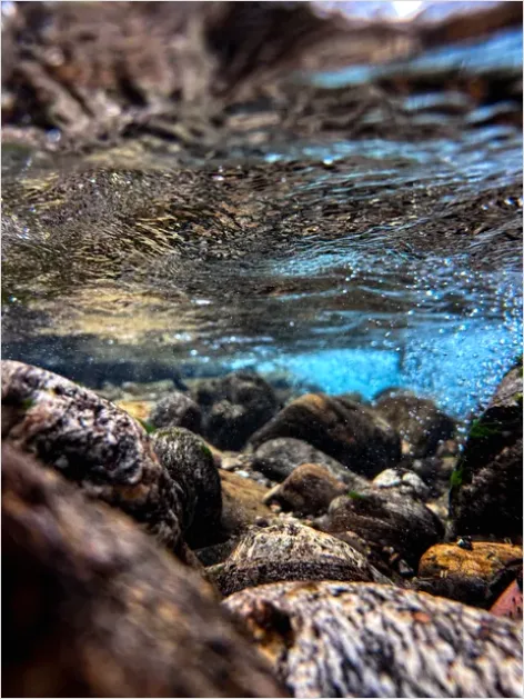 Detail Underwater Freshwater River Photo Number 4