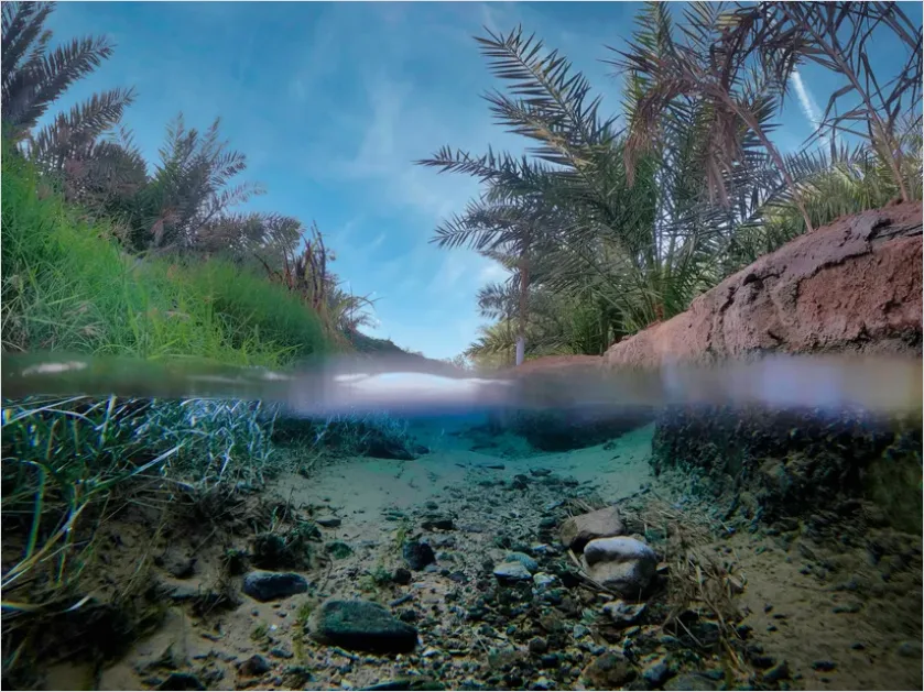 Detail Underwater Freshwater River Photo Number 5