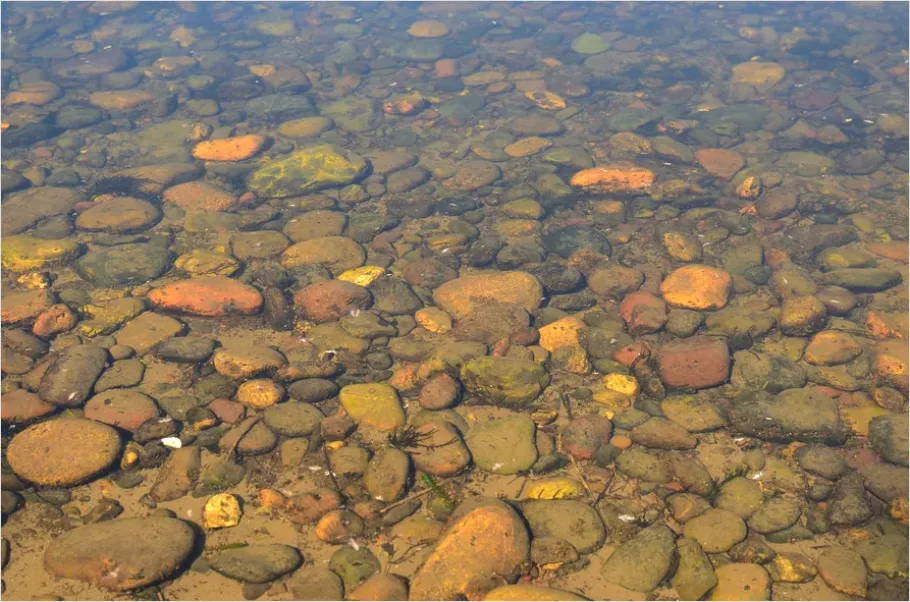 Detail Underwater Freshwater River Photo Number 6