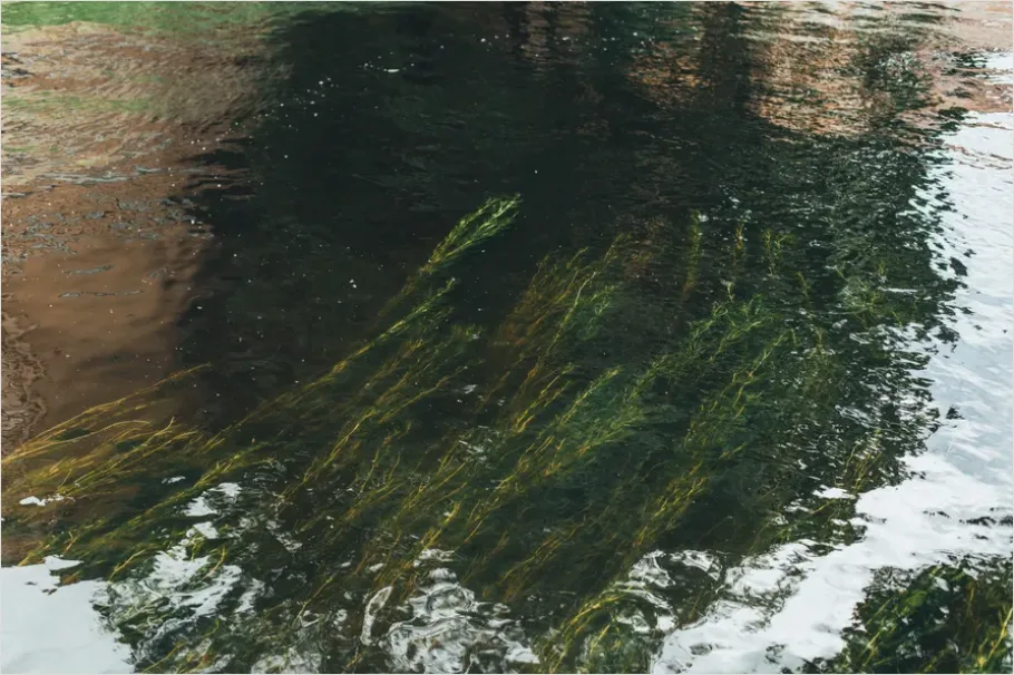 Detail Underwater Freshwater River Photo Number 7