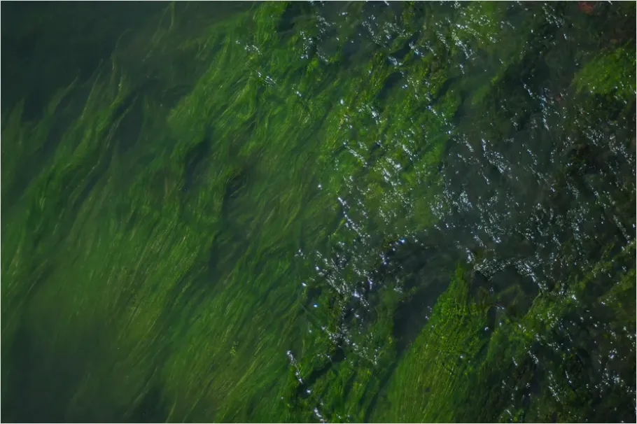 Detail Underwater Freshwater River Photo Number 9
