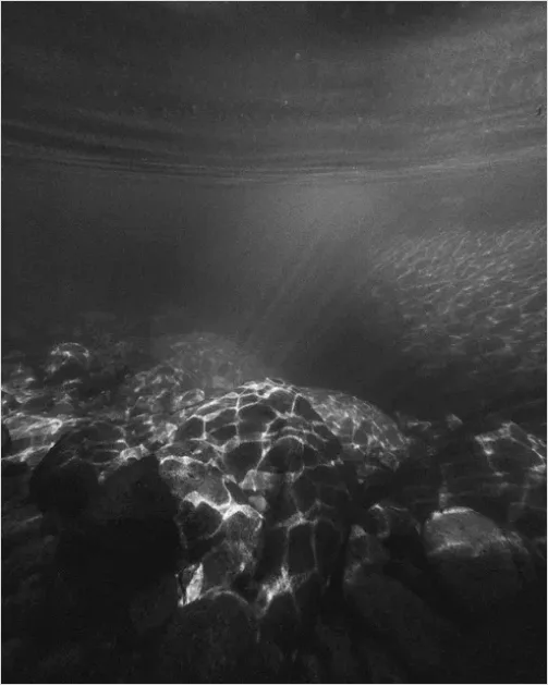 Detail Underwater Lake Snorkeling Photo Number 12