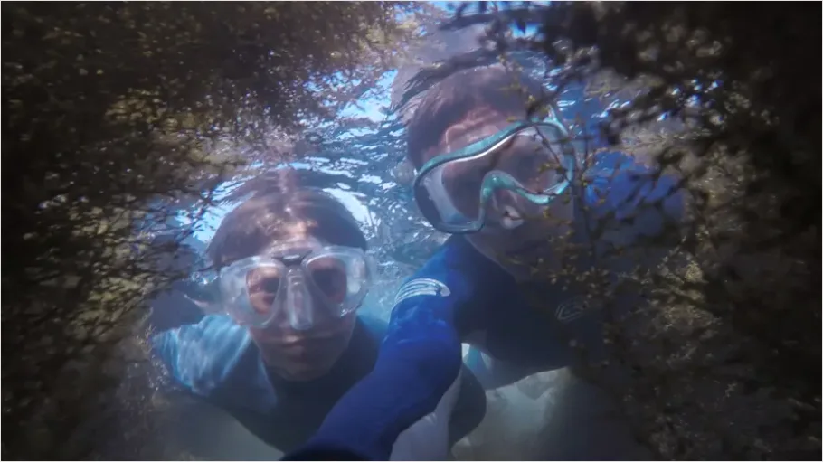 Detail Underwater Lake Snorkeling Photo Number 5