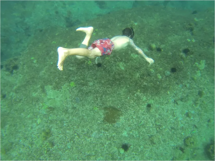 Detail Underwater Lake Snorkeling Photo Number 7