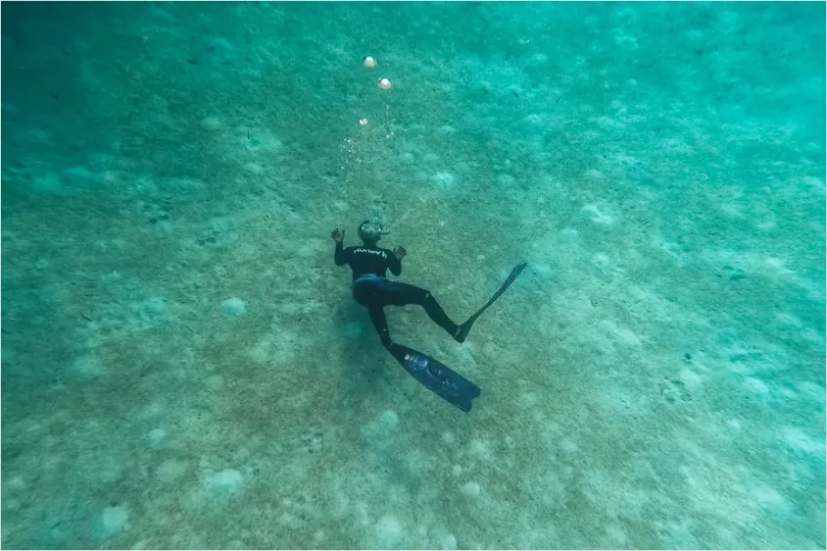 Detail Underwater Lake Snorkeling Photo Number 8