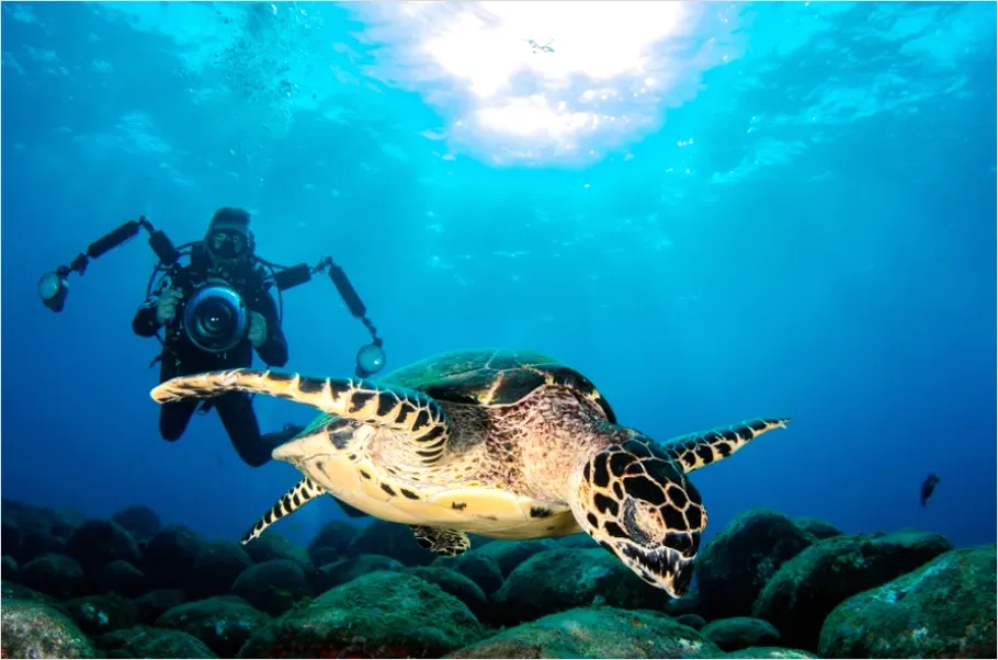 Detail Underwater Photographer With Camera Photo Number 11
