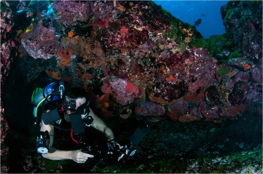 Detail Underwater Photographer With Camera Photo Number 3