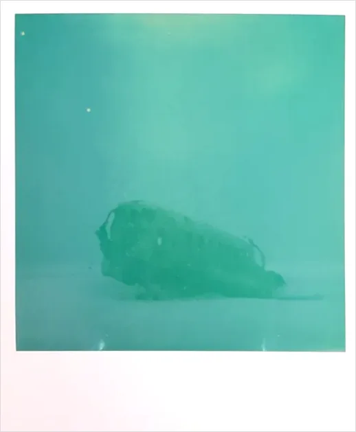 Detail Underwater Plane Wreck Photo Number 4