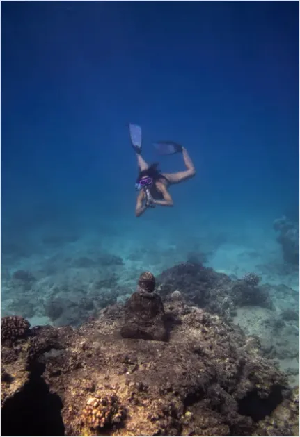 Detail Underwater Statue Reef Photo Number 11