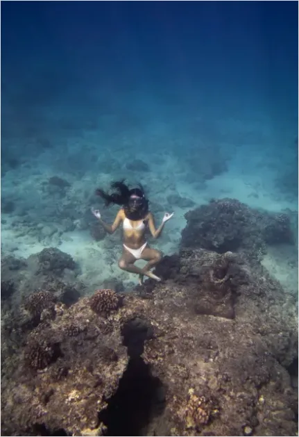 Detail Underwater Statue Reef Photo Number 9