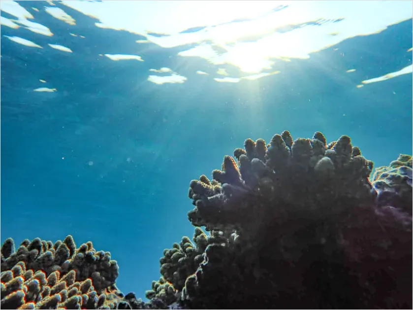 Detail Underwater Sun Rays Photo Number 12