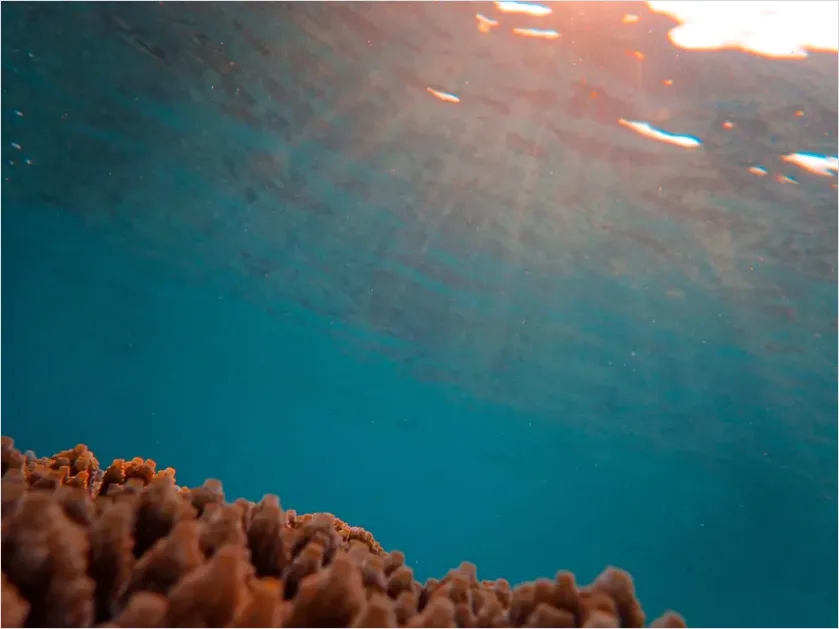 Detail Underwater Sun Rays Photo Number 14