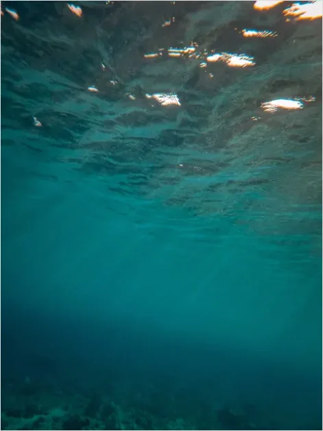Detail Underwater Sun Rays Photo Number 8