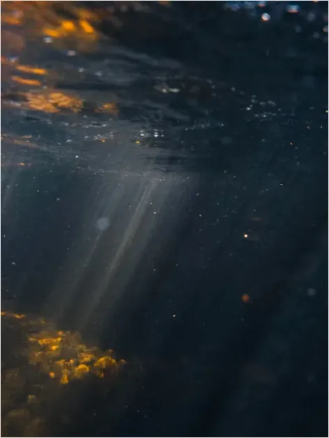 Detail Underwater Sun Rays Photo Number 9
