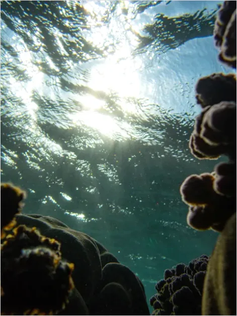 Detail Underwater Sun Rays Photo Number 10
