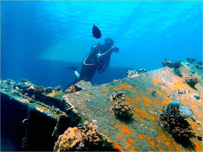 Detail Underwater Wreck With Diver Photo Number 12