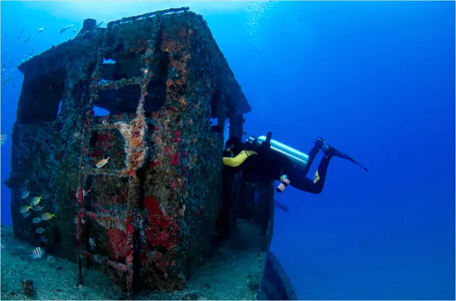 Detail Underwater Wreck With Diver Photo Number 14