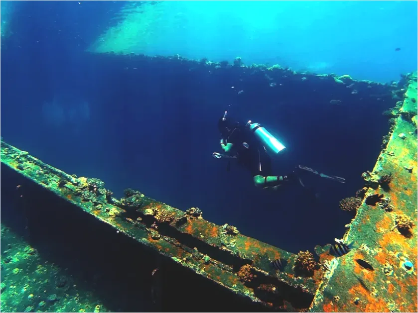 Detail Underwater Wreck With Diver Photo Number 16