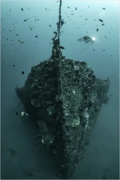 Detail Underwater Wreck With Diver Photo Number 5