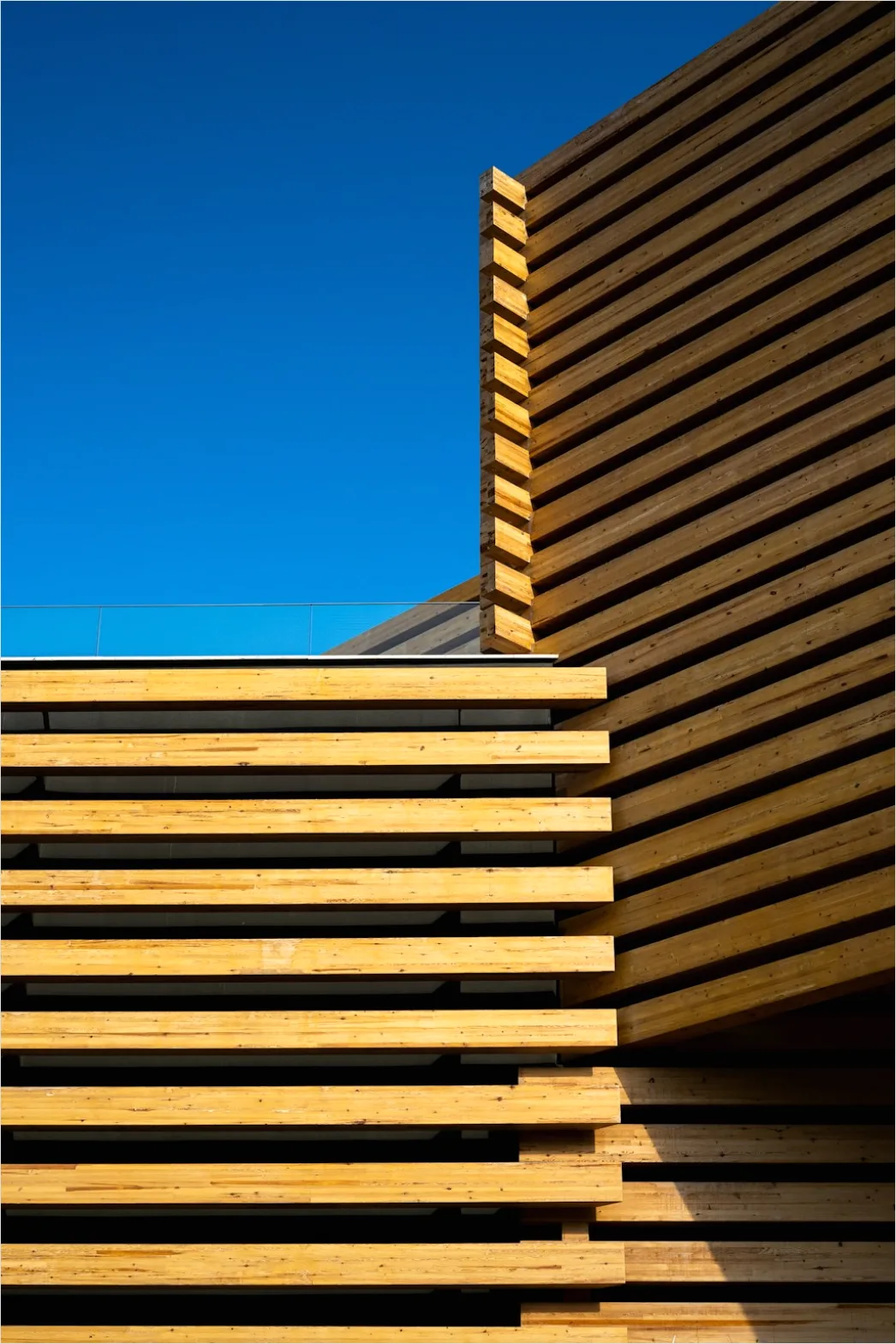 Detail Wood Slat Facade Modern Architecture Photo Number 2