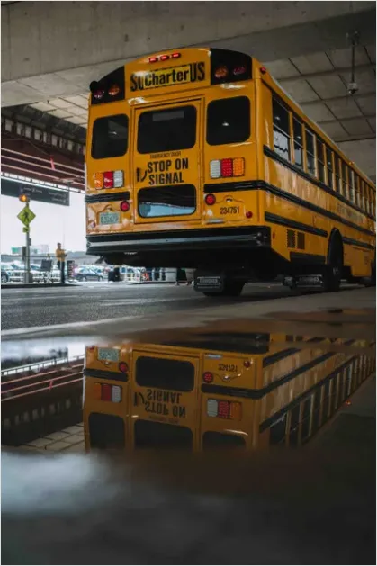 Detail Yellow School Bus Photo Number 13