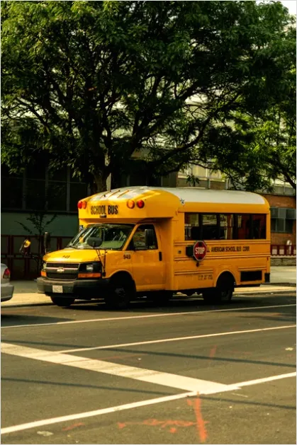Detail Yellow School Bus Photo Number 14