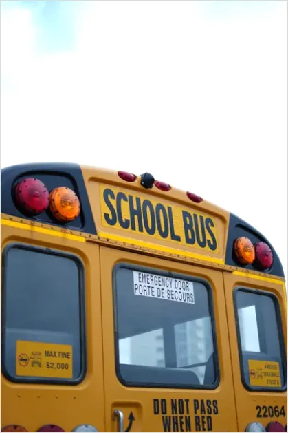 Detail Yellow School Bus Photo Number 9