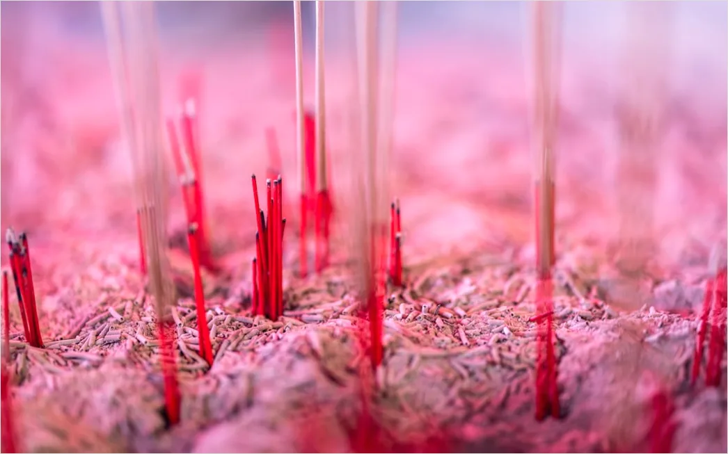 Detail Acupuncture Needles Close Up Treatment Number 10